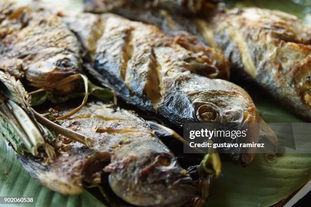 Amazon Fish Meat Cafe Amazon Photos and Premium High Res Pictures - Getty Images
