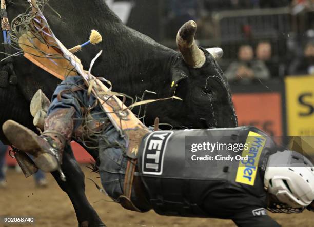 Bull Rider Falling Off 264 Ord Falls Stock Photos, High-Res Pictures, and Images - Getty Images