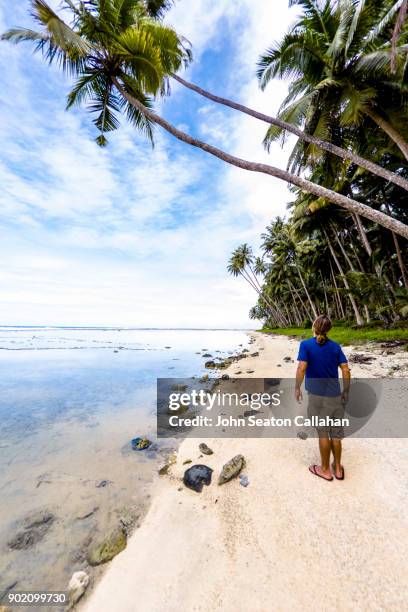 tropical beach on nias island in north sumatra - nias island bildbanksfoton och bilder