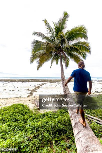 tropical beach on nias island in north sumatra - nias island bildbanksfoton och bilder