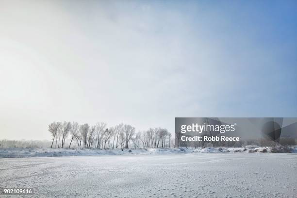 white landscapes - frozen lake with ice patterns and trees in winter. - robb reece fotografías e imágenes de stock