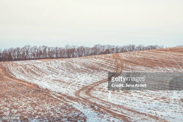 snow field with tracks - bare trees on snowfield stock pictures, royalty-free photos & images