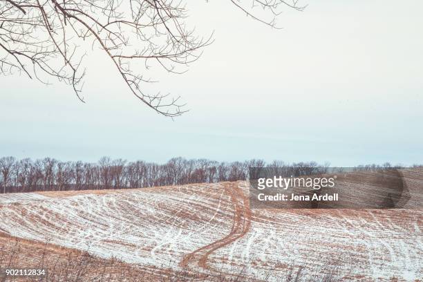 snow covered field with tracks - bare trees on snowfield stock pictures, royalty-free photos & images