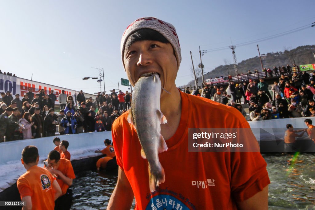 Annual ice festival in South Korea