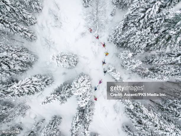 aerial view of skiers following forest trail - winter sport stock-fotos und bilder
