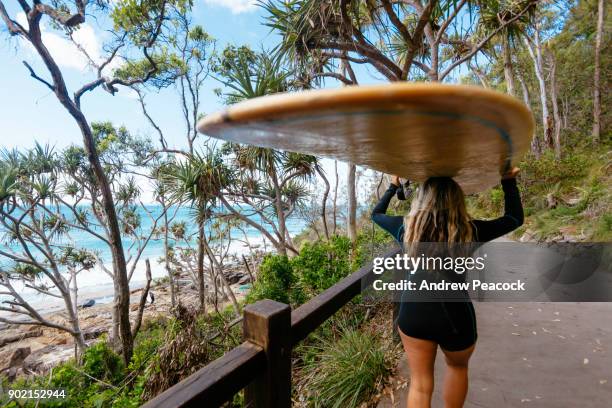 a woman is carryng a surfboard on her head on the way to the beach - noosa heads stock pictures, royalty-free photos & images