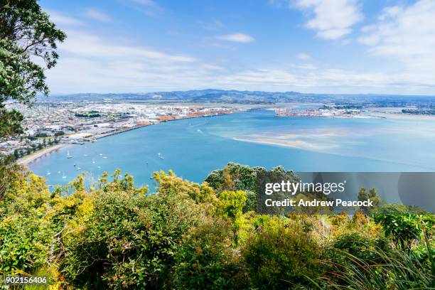 mount maunganui town seen from the walk up mauao peak - mount maunganui stock pictures, royalty-free photos & images