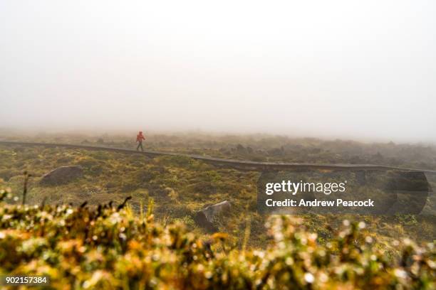 a woman in a red jacket is hiking along a boardwalk on the tongariro alpine crossing. - tongariro crossing stock pictures, royalty-free photos & images