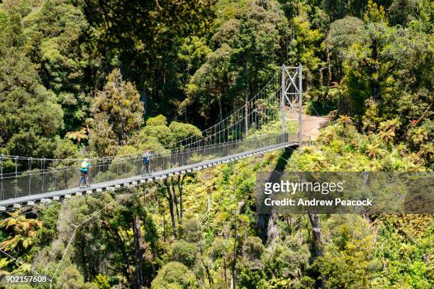two cyclists cross a suspension bridge on the timber trail - north island new zealand stock pictures, royalty-free photos & images