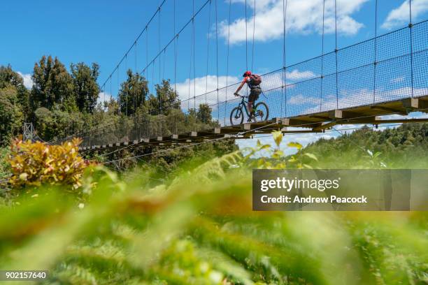 a cyclist crosses a suspension bridge on the timber trail - waikato region stock pictures, royalty-free photos & images