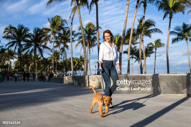 gelukkige vrouw lopen met zijn labrador pup op de promenade in miami beach. - happy lady walking dog stockfoto's en -beelden