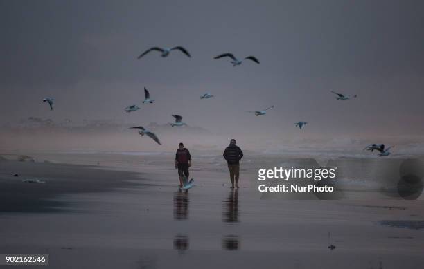 Seagulls fly as Palestinians walk on the beach of Gaza after rain storm in Gaza City on January 6, 2018.