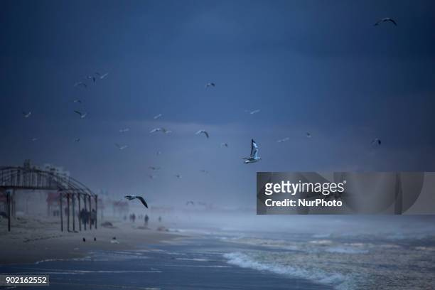 Seagulls fly over the beach of Gaza after rain storm in Gaza City on January 6, 2018.
