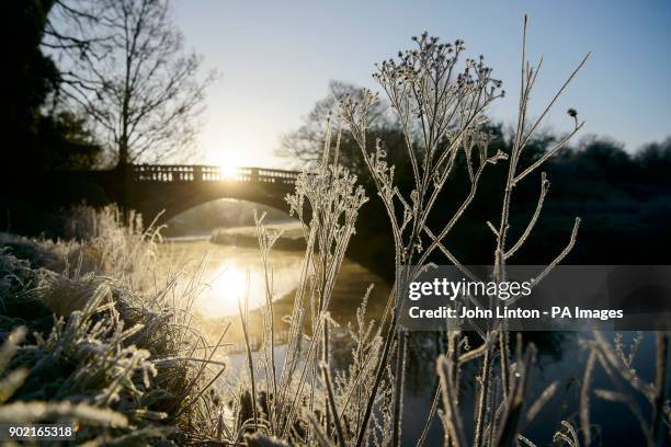 Widespread frost in Glasgow's Pollok Park, as temperatures plummet across the UK.