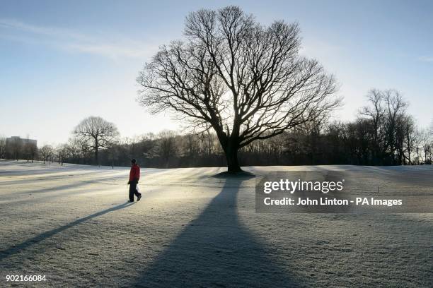 Person walks in widespread frost in Glasgow's Pollok Park, as temperatures plummet across the UK.