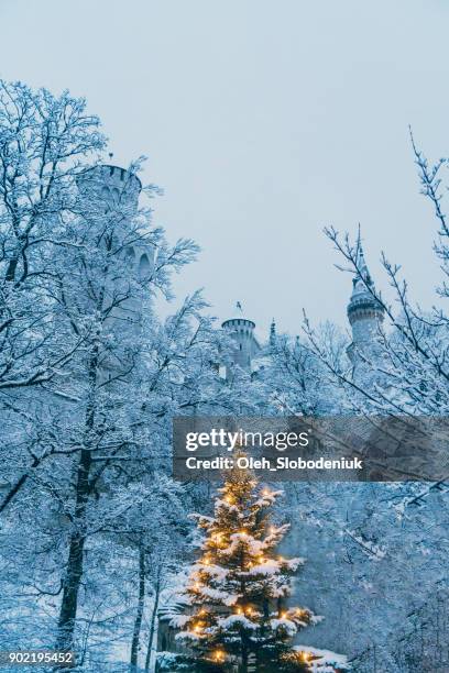 christmas tree  near   neuschwanstein castle in germany - neuschwanstein winter stock pictures, royalty-free photos & images