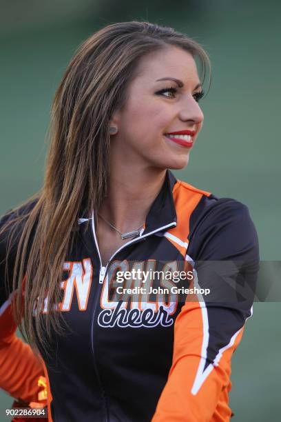 Member of the Cncinnati Bengals cheerleaders entertain the crowd during the game against the Cleveland Browns at Paul Brown Stadium on November 26,...