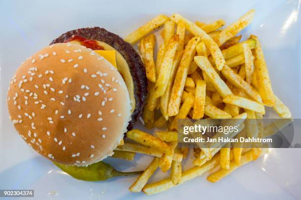 burger and fries - burger overhead stock-fotos und bilder