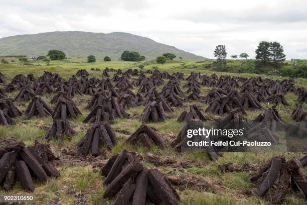 peat field at recess, county galway, ireland - gloomy swamp stock pictures, royalty-free photos & images