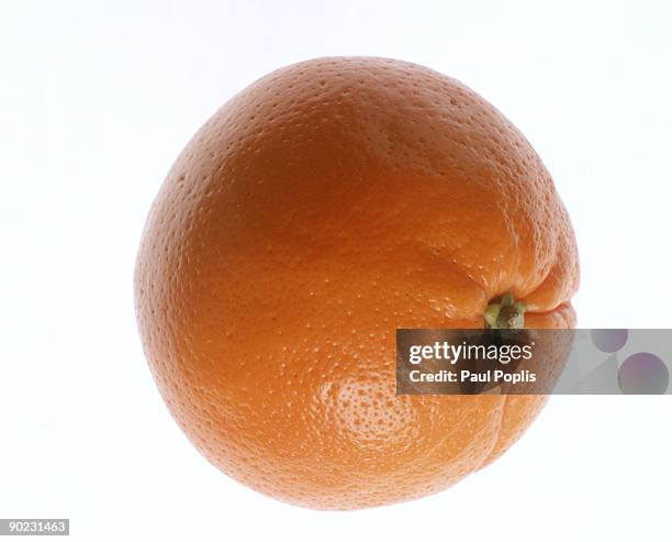 navel orange - ネーブルオレンジ ストックフォトと画像