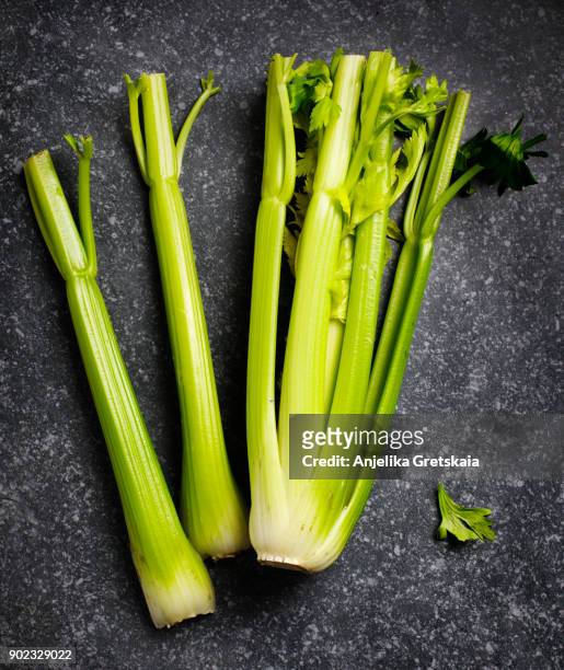 fresh organic celery on dark grey stone background - celery stock pictures, royalty-free photos & images
