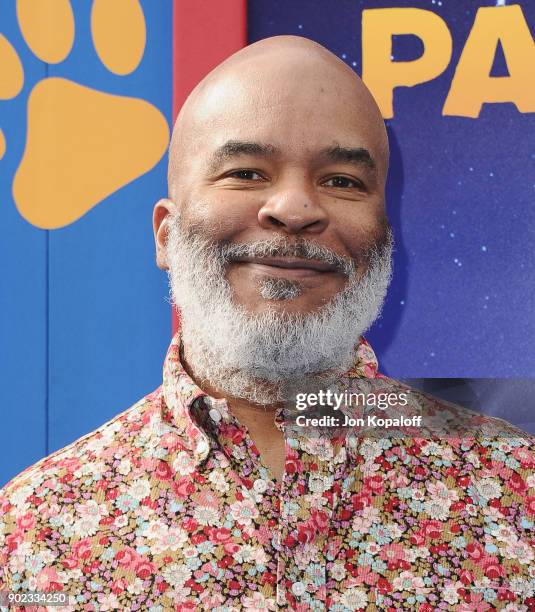 Actor David Alan Grier attends the Los Angeles Premiere "Paddington 2" at Regency Village Theatre on January 6, 2018 in Westwood, California.