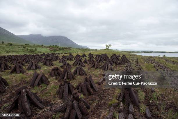 peat field at recess, county galway, ireland - gloomy swamp stock pictures, royalty-free photos & images