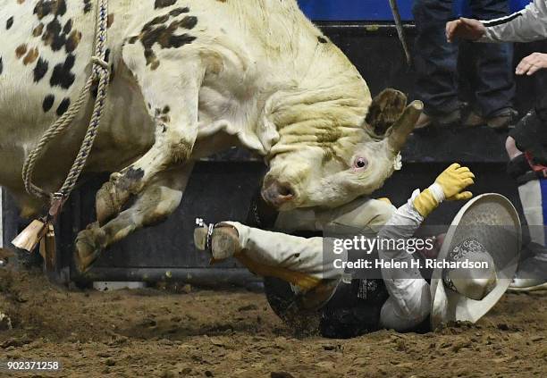 Bull Rider Falling Off 458 Mexican Bull Riding Stock Photos, High-Res Pictures, and Images ...