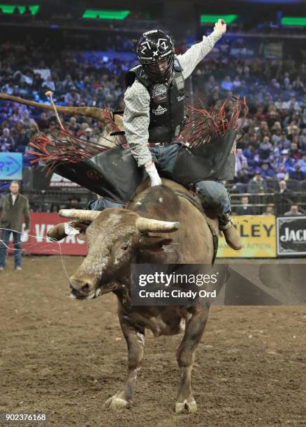 1,602 Professional Bull Riders Monster Energy Buck Off At The Garden ...