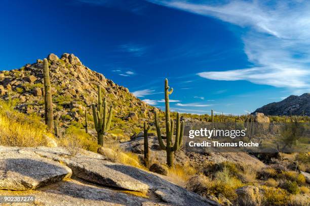 saguaros and a boulder strewn mountain - südwesten stock-fotos und bilder