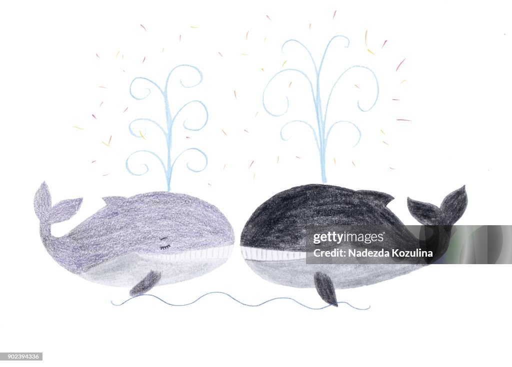 Whale couple kissing