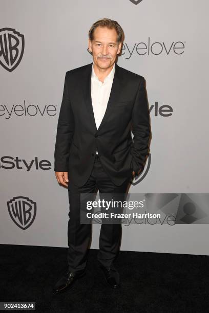 Actor James Remar attends 19th Annual Post-Golden Globes Party hosted by Warner Bros. Pictures and InStyle at The Beverly Hilton Hotel on January 7,...