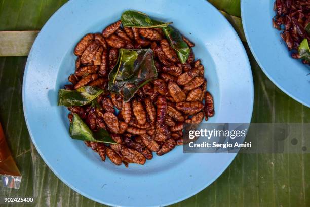 Loas Insects 729 Vespa Market Stock Photos, High-Res Pictures, and Images - Getty Images