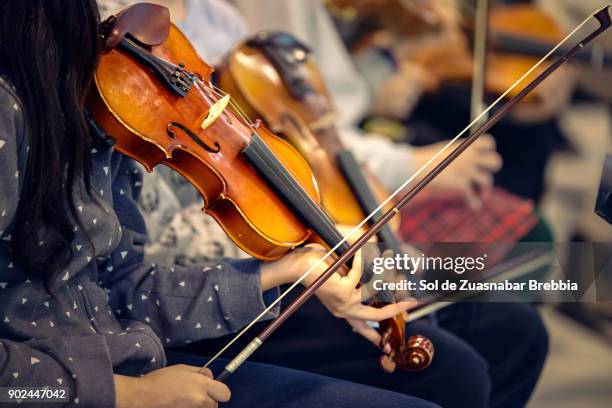 close-up of hands holding violins - wenkkrab stockfoto's en -beelden