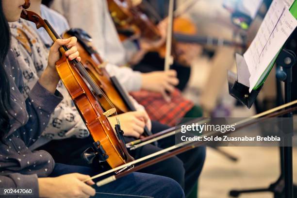 close-up of hands holding violins - winkerkrabbe stock-fotos und bilder