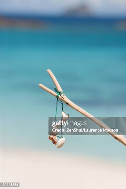 makeshift seashell necklace hanging from branch - makeshift stock pictures, royalty-free photos & images