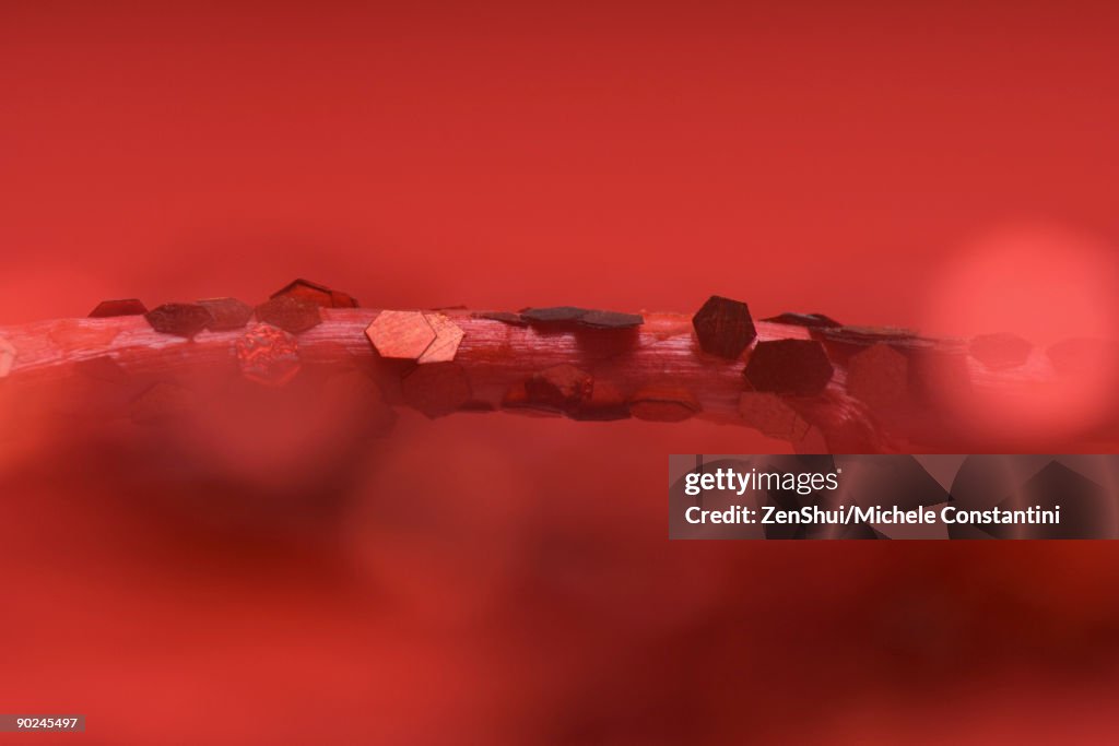 Branch decorated with red sequins, close-up