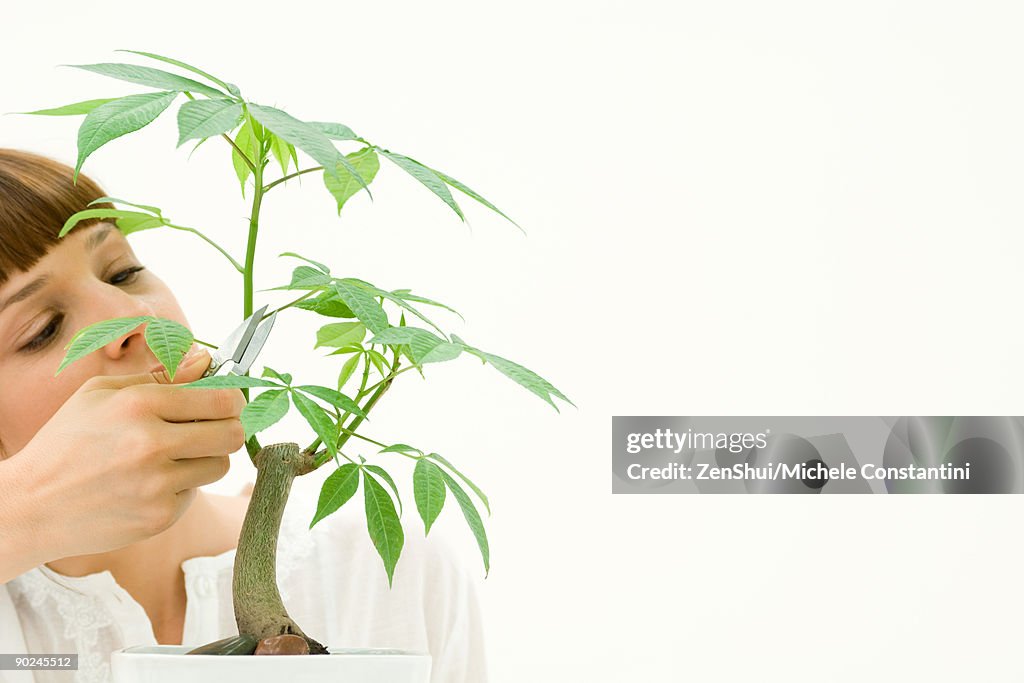 Woman pruning potted plant