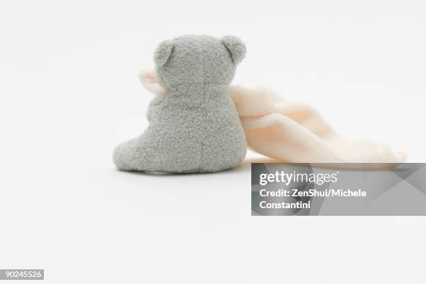 teddy bear holding blanket, rear view - baby blanket stock pictures, royalty-free photos & images