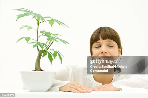 woman relaxing next to potted plant - ceiba speciosa stock pictures, royalty-free photos & images