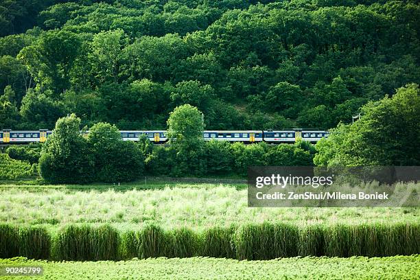 train traveling through the countryside - langzaam stockfoto's en -beelden