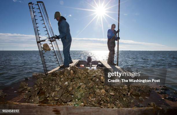 James Creamer, right, and Victor Causey tong oysters from the cat point oyster reef in Apalachicola Bay.