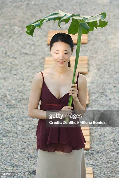 woman walking in rock garden, holding palm frond over head - stepping stone top view stock pictures, royalty-free photos & images