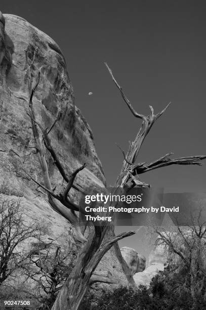 devils garden - devils garden arches national park stockfoto's en -beelden