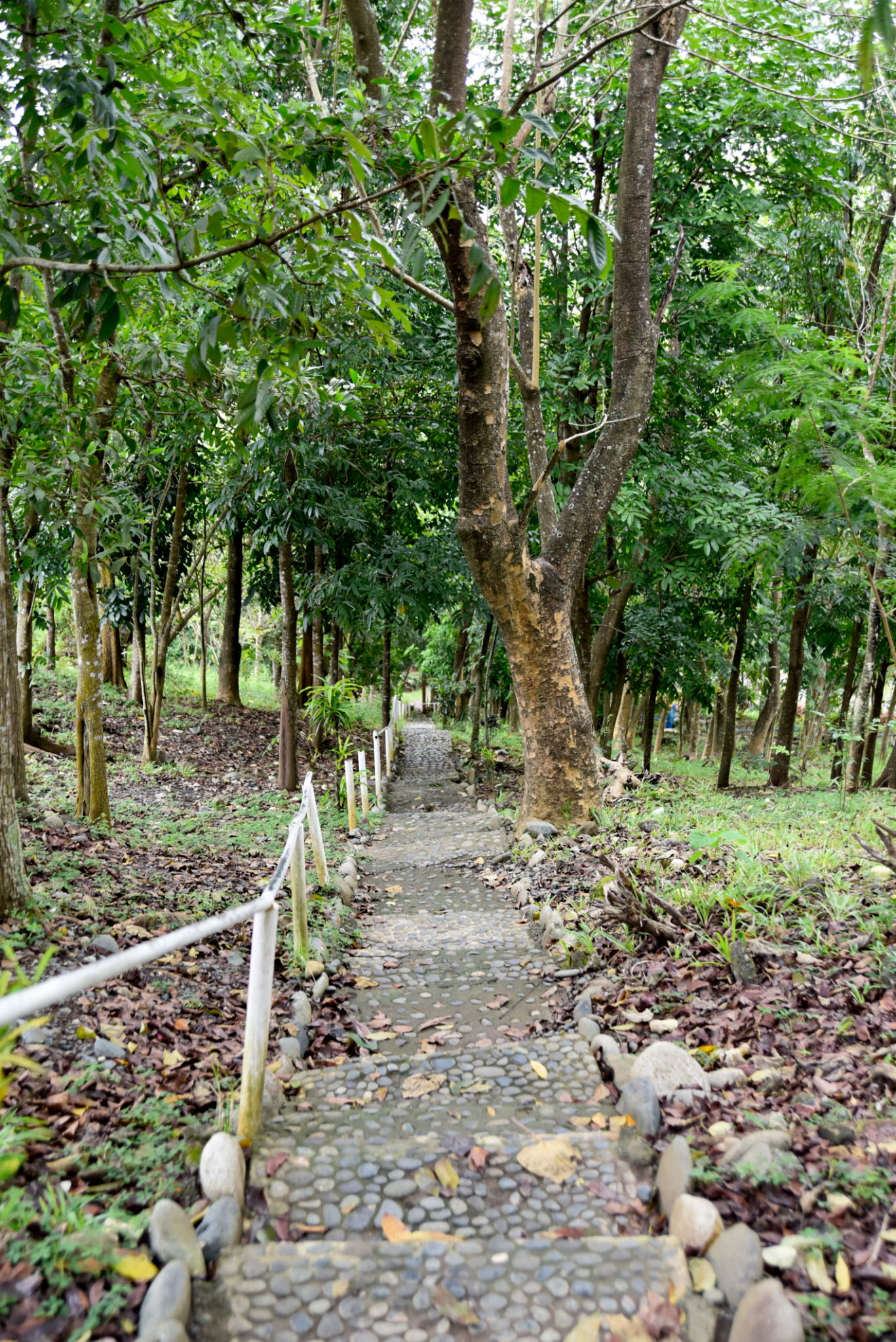 jeshwang nature trail