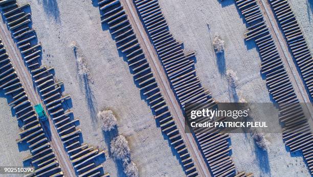 An aerial picture taken with a drone on January 8, 2018 shows wood logs lined up at a storage facilities of a Brandebourg's forestry company in the...