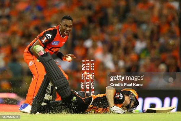 Dwayne Bravo of the Renegades celebrates running out Adam Voges of the Scorchers during the Big Bash League match between the Perth Scorchers and the...