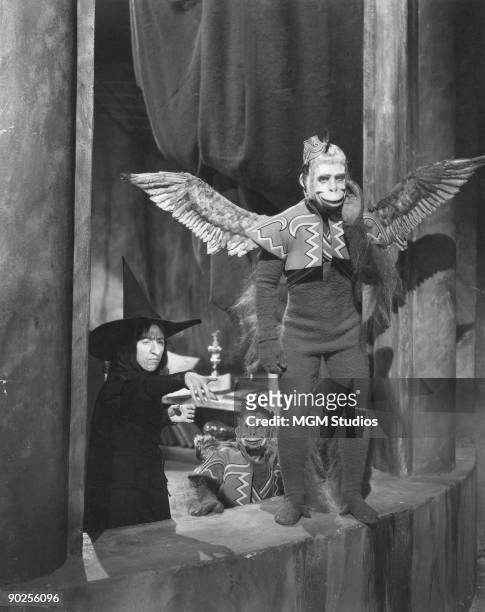 American actress Margaret Hamilton stars as the Wicked Witch of the West in the MGM film 'The Wizard of Oz', 1939. Here she commands her flock of...