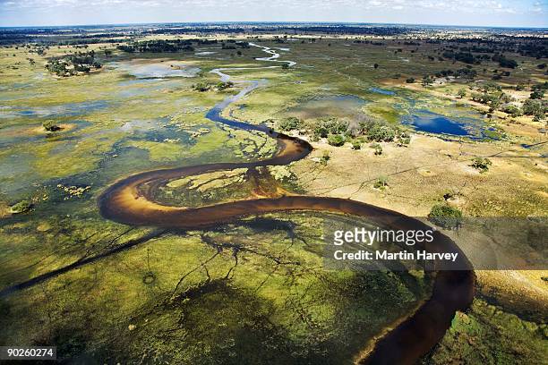 aerial view of wetlands of okavango delta, botswana - okavango delta imagens e fotografias de stock