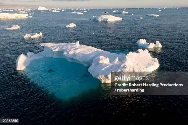ice in the antarctic sound, the antarctic peninsula, antarctica, polar regions - antarctic sound stock pictures, royalty-free photos & images
